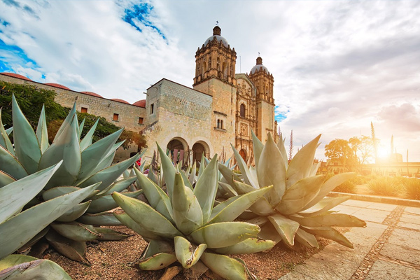 visita oaxaca